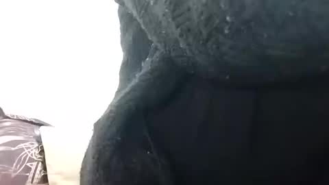 khushisinghh online show from December 2024 02:34:02 AM