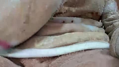 khushisinghh online show from January 2025 04:02:01 PM