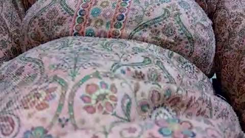 khushisinghh online show from January 2025 12:31:01 PM