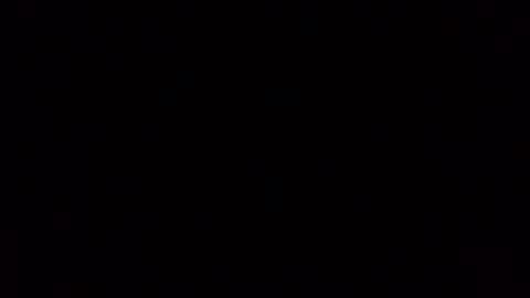 Frankie online show from November 2025 08:49:01 AM