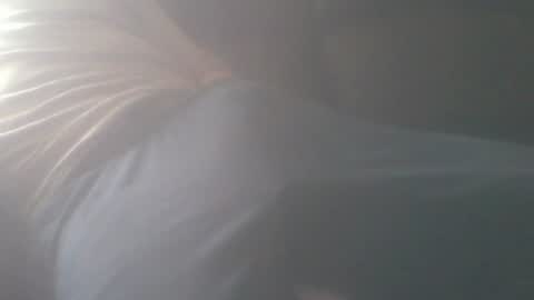 New accound cavilacion  online show from July 2026 09:23:02 PM