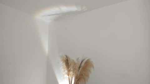 Kim Murphy online show from April 2026 11:11:01 AM