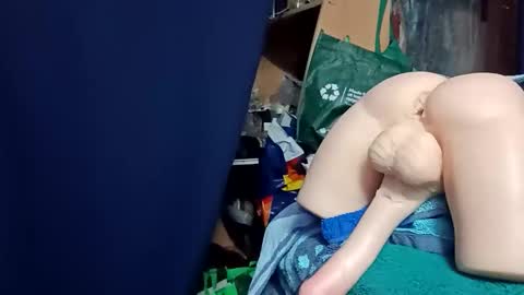 Snapshot of kingfisherrobbie chatting on October 2025 02:24:02 PM Robbie online show from October 2025 02:24:02 PM