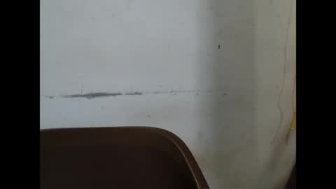 kinkyjuicexx online show from April 2026 10:10:01 AM