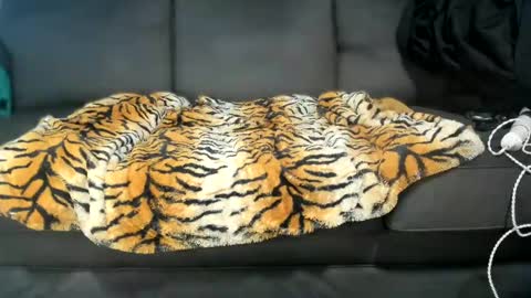 Kinky online show from January 2025 06:37:02 PM