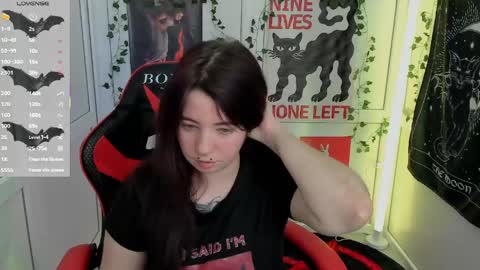meow online show from May 2026 12:22:02 PM