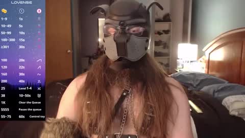 Snapshot of kinkywolf87 chatting on December 2024 05:04:01 PM kinkywolf87 online show from December 2024 05:04:01 PM