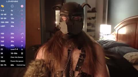 Snapshot of kinkywolf87 chatting on December 2024 07:21:01 AM kinkywolf87 online show from December 2024 07:21:01 AM