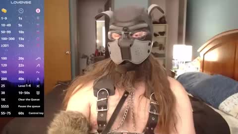 Snapshot of kinkywolf87 chatting on December 2024 06:50:01 PM kinkywolf87 online show from December 2024 06:50:01 PM