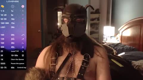 Snapshot of kinkywolf87 chatting on December 2024 07:12:01 AM kinkywolf87 online show from December 2024 07:12:01 AM