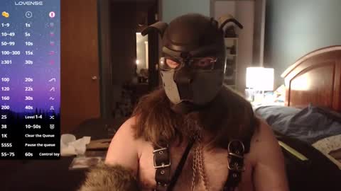 Snapshot of kinkywolf87 chatting on January 2025 01:02:01 AM kinkywolf87 online show from January 2025 01:02:01 AM