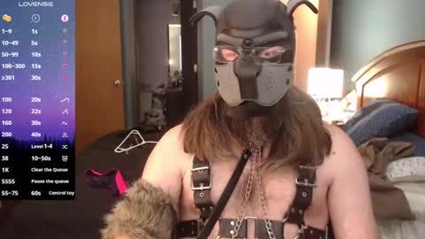 Snapshot of kinkywolf87 chatting on January 2025 08:49:02 PM kinkywolf87 online show from January 2025 08:49:02 PM