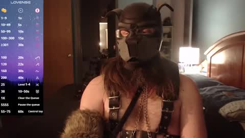 Snapshot of kinkywolf87 chatting on February 2025 01:44:02 AM kinkywolf87 online show from February 2025 01:44:02 AM