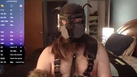 Snapshot of kinkywolf87 chatting on February 2025 09:56:01 PM kinkywolf87 online show from February 2025 09:56:01 PM