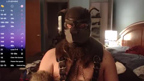 Snapshot of kinkywolf87 chatting on February 2025 05:51:02 AM kinkywolf87 online show from February 2025 05:51:02 AM
