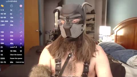 Snapshot of kinkywolf87 chatting on February 2025 07:38:02 PM kinkywolf87 online show from February 2025 07:38:02 PM