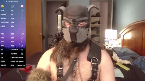 Snapshot of kinkywolf87 chatting on February 2025 06:42:02 PM kinkywolf87 online show from February 2025 06:42:02 PM