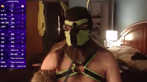 Snapshot of kinkywolf87 chatting on October 2025 05:08:01 AM kinkywolf87 online show from October 2025 05:08:01 AM