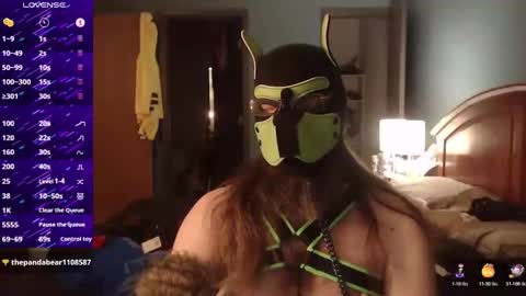 Snapshot of kinkywolf87 chatting on October 2025 05:30:01 AM kinkywolf87 online show from October 2025 05:30:01 AM