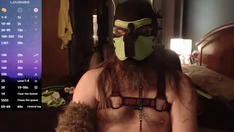 kinkywolf87 online show from February 2026 06:39:02 AM