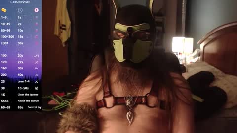 kinkywolf87 online show from April 2026 07:03:02 AM