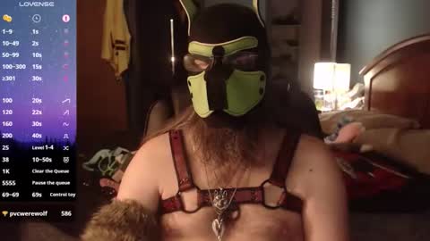 Snapshot of kinkywolf87 chatting on May 2026 12:27:01 AM kinkywolf87 online show from May 2026 12:27:01 AM