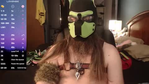 Snapshot of kinkywolf87 chatting on May 2026 09:42:02 PM kinkywolf87 online show from May 2026 09:42:02 PM