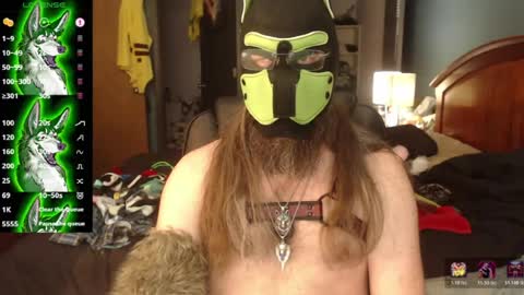 Snapshot of kinkywolf87 chatting on June 2026 07:14:01 PM kinkywolf87 online show from June 2026 07:14:01 PM