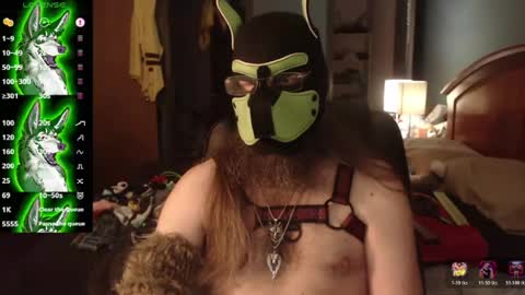 Snapshot of kinkywolf87 chatting on July 2026 12:10:01 AM kinkywolf87 online show from July 2026 12:10:01 AM