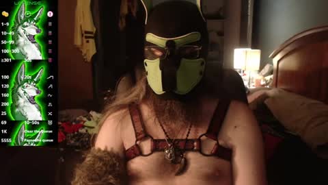 Snapshot of kinkywolf87 chatting on July 2026 03:00:02 AM kinkywolf87 online show from July 2026 03:00:02 AM