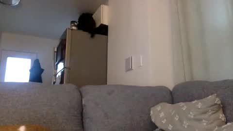 kinnkybwc online show from March 2026 11:16:01 PM