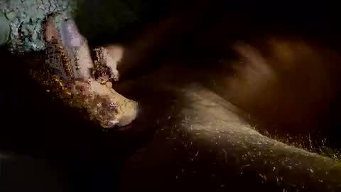 Snapshot of kitkat_loco1 chatting on November 2025 07:40:01 AM Kitkat loco online show from November 2025 07:40:01 AM