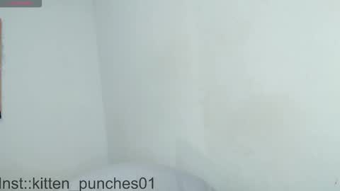 kitten_punches02 online show from November 2025 03:08:02 AM