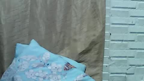 kittengirlxo504404 online show from May 2026 11:21:02 PM