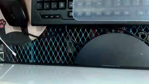 kittlyn online show from September 2025 12:55:01 AM