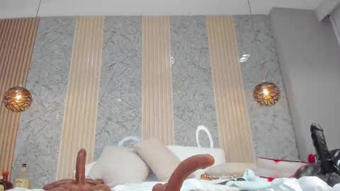 Snapshot of kitty__diamond_ chatting on February 2025 05:29:02 AM kitty__diamond_ online show from February 2025 05:29:02 AM