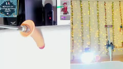 Kitty online show from July 2026 10:17:02 AM