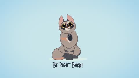 Kitty online show from December 2024 08:53:01 PM
