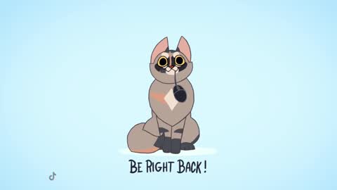 Kitty online show from February 2025 11:58:02 PM