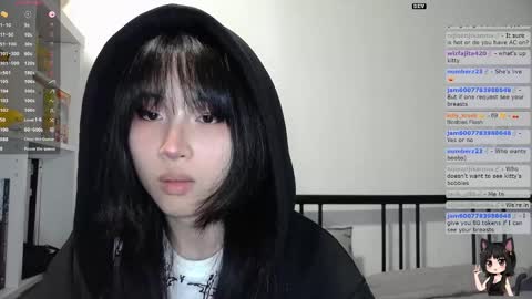 Kitty online show from November 2025 02:00:01 AM