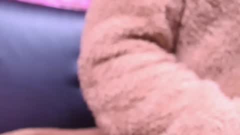 Snapshot of kitty_malach chatting on October 2025 02:22:02 AM Kitty online show from October 2025 02:22:02 AM