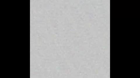 kittykat 1999 online show from December 2025 06:47:02 PM