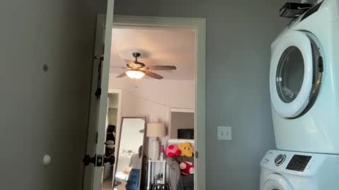 kittypurr79 online show from March 2026 08:15:01 PM