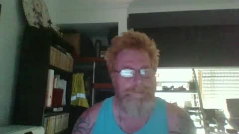 kiwi_boss61 online show from February 2025 04:19:02 AM