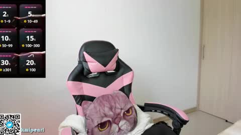 Snapshot of kmipearl chatting on February 2026 02:54:01 PM Camila Reyes online show from February 2026 02:54:01 PM