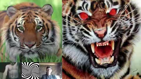 kodiakpm1 online show from December 2024 08:38:02 AM