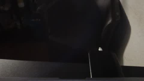 Snapshot of korek878 chatting on October 2025 07:37:01 PM korek878 online show from October 2025 07:37:01 PM