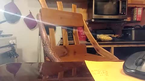 kota183368 online show from October 2025 02:29:01 PM