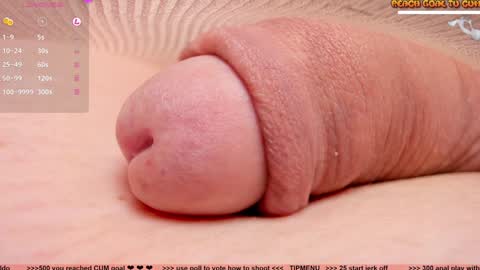 Petra online show from January 2025 07:45:01 PM