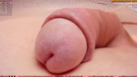 Petra online show from December 2025 08:47:02 PM